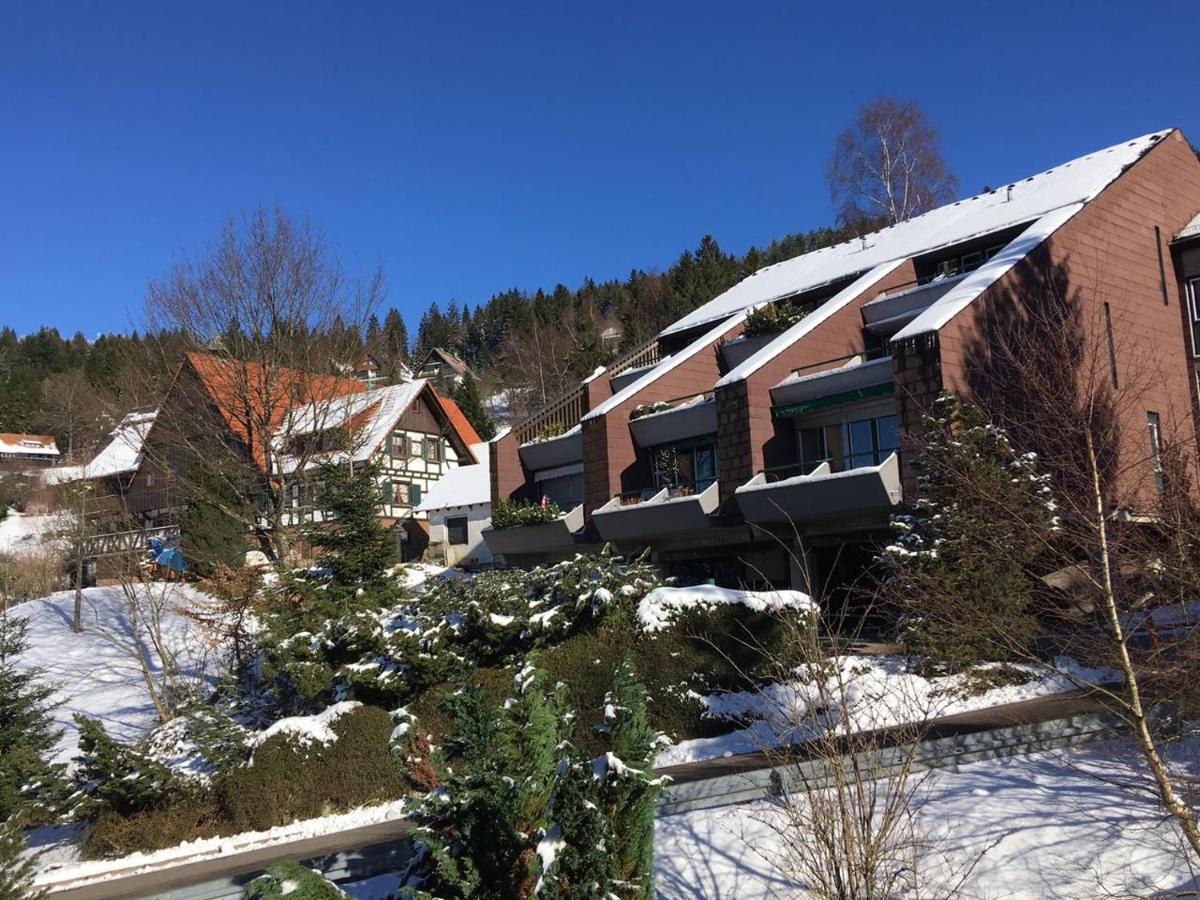 Auszeitwohnung Black Forest Sasbachwalden Dış mekan fotoğraf